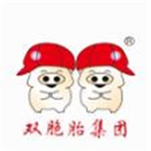 江西双胞胎控股有限公司