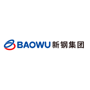 新余钢铁集团有限公司