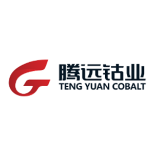 赣州腾远钴业新材料股份有限公司