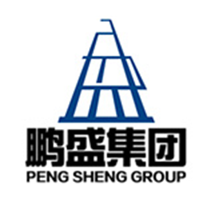 鹏盛建设集团有限公司