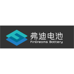 长沙弗迪电池有限公司