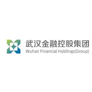 武汉金融控股（集团）有限公司
