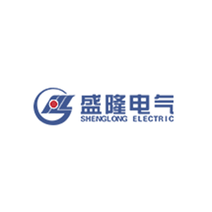 盛隆电气集团有限公司