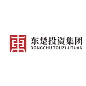黄石市东楚投资集团有限公司